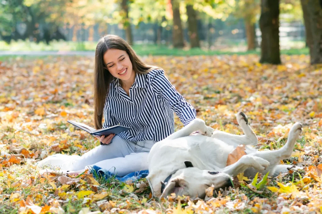 Acaced formation prix signification chien
