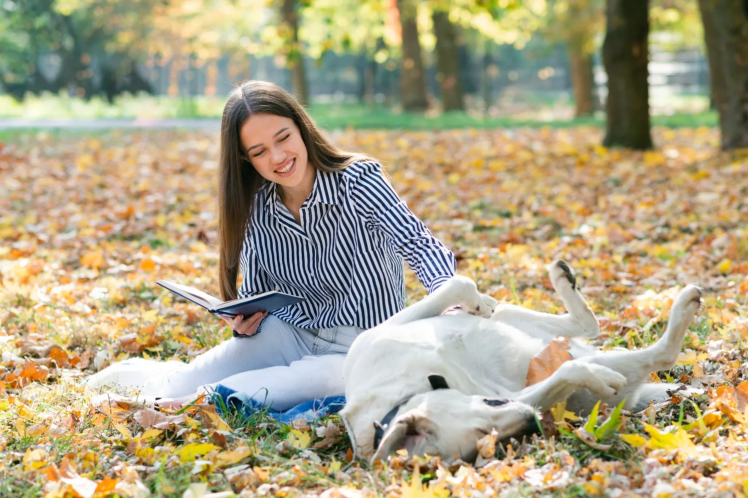 L’ACACED autorise l’activité, elle n’apprend pas le métier