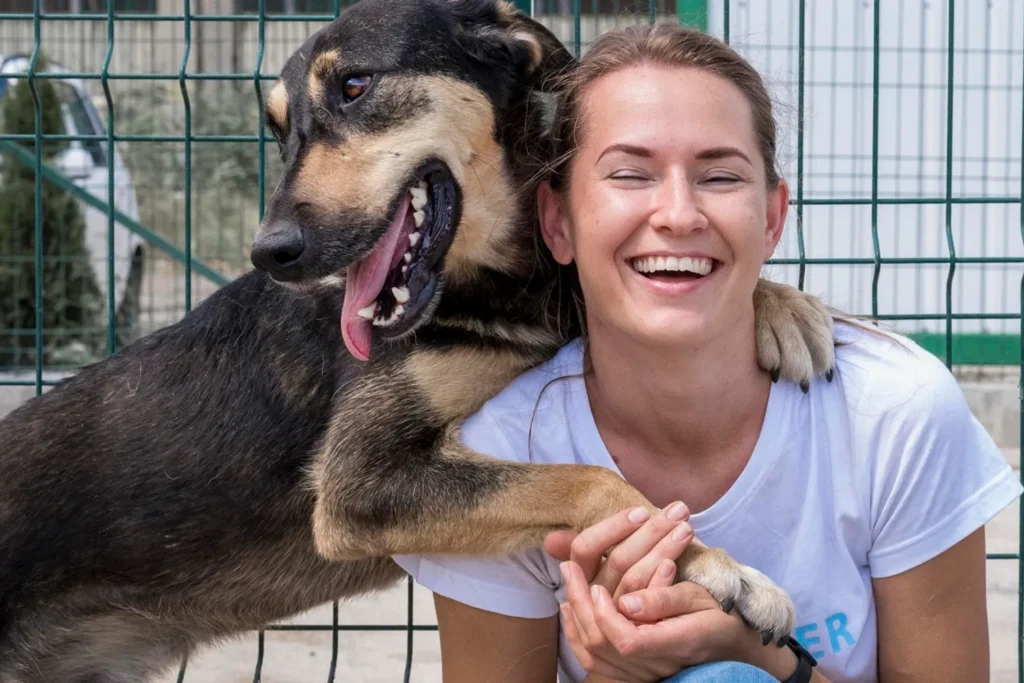 Ouvrir un refuge pour animaux