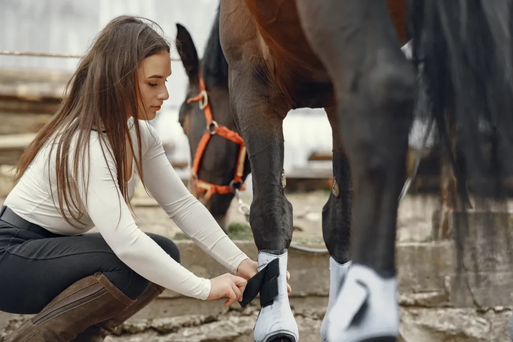 Devenir groom pour chevaux