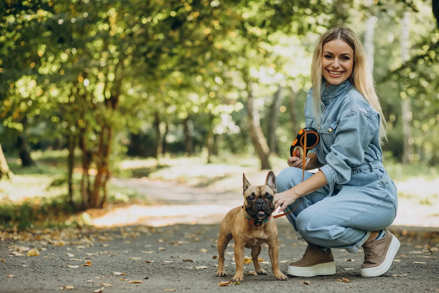 Devenir promeneur de chien : promener des chiens pour gagner de l&rsquo;argent​