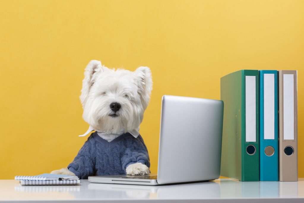 formation pour travailler avec les animaux