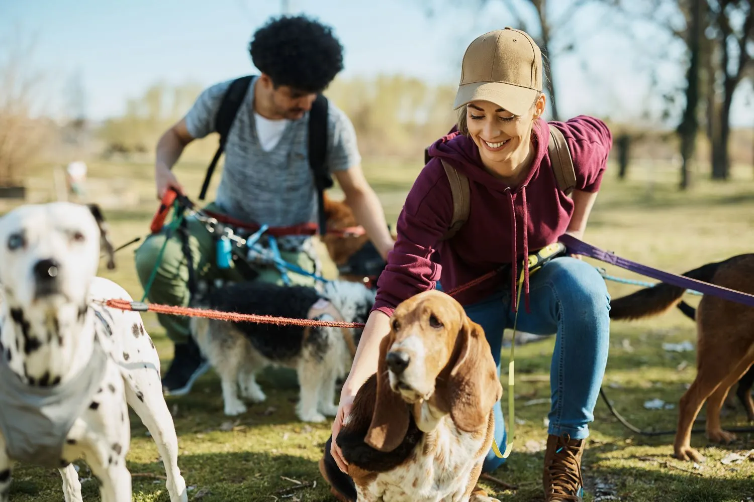Salaire éducateur canin : combien gagne-t-on vraiment en 2026 ?