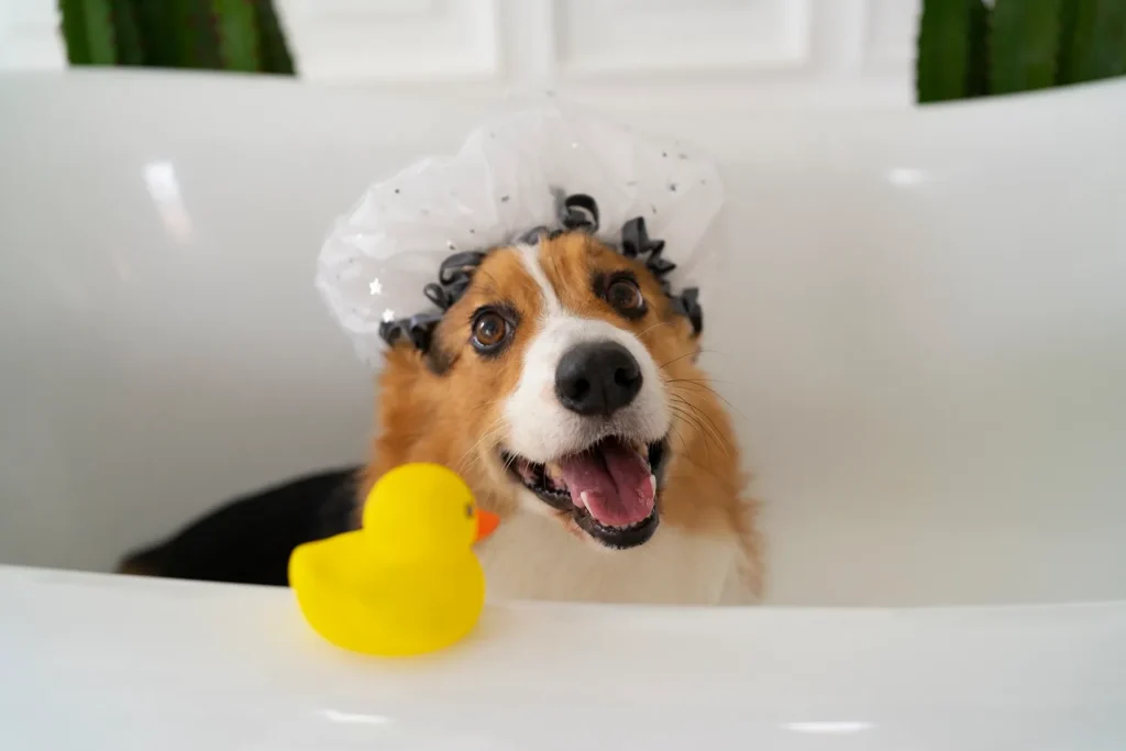 chien heureux dans une baignoire