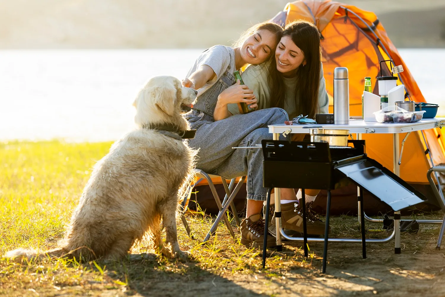 Camping acceptant les chiens et création site internet camping : dynamisez votre activité