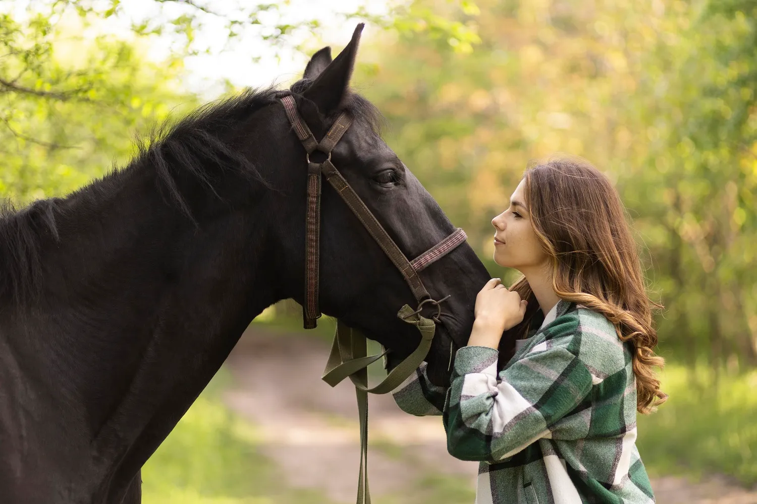 Comportementaliste équin : guide complet pour devenir expert du comportement du cheval