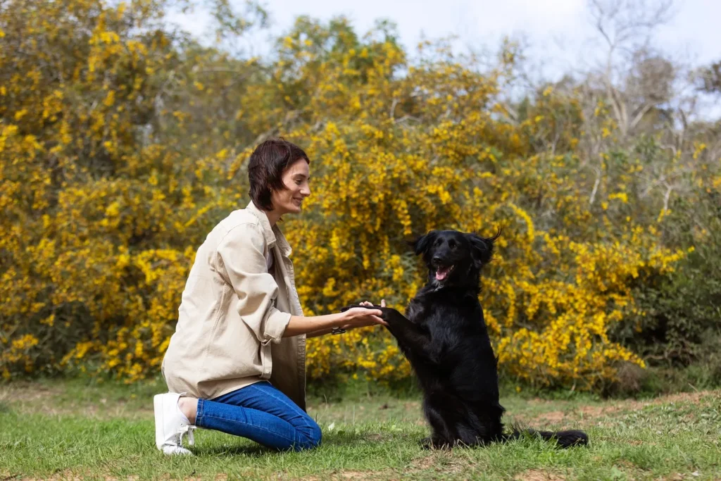 dresseur vs éducateur chien : quelles différences ?