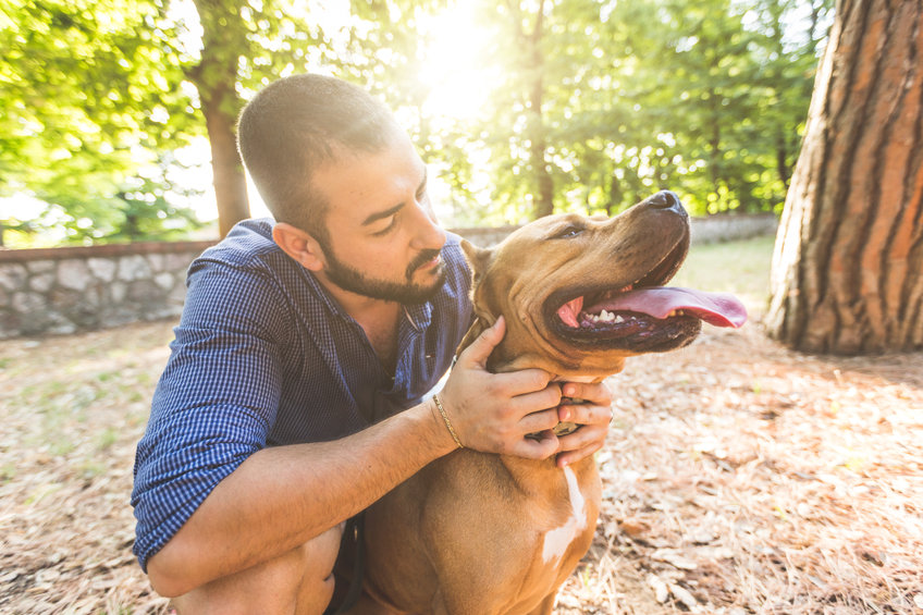 Conseils pratiques pour des vacances réussies avec son animal de compagnie