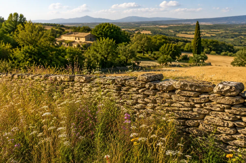 Les serpents de France et la phobie des serpents
