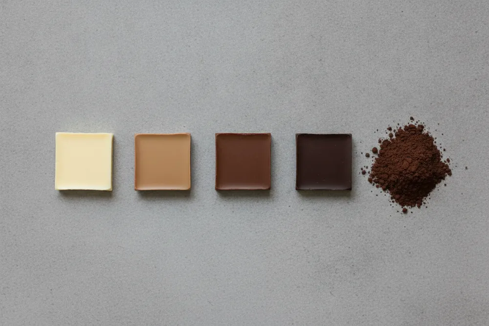 Cinq chocolats du blanc au cacao pur : plus la couleur est foncée, plus la teneur en théobromine est élevée