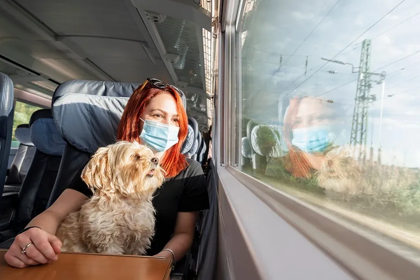 femme avec son chien dans le train