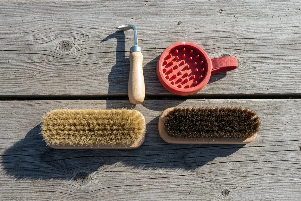 Brosse cheval : cure-pied, étrille en caoutchouc et deux brosses aux poils de densité différente posés sur des planches de bois.