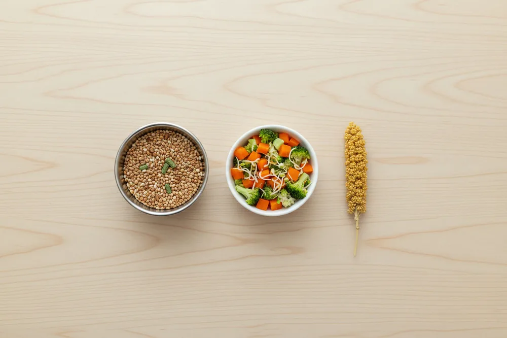 Nourriture perruche : un petit bol de graines, des légumes frais coupés et une grappe de millet, la ration d'une journée.