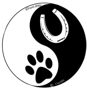 EquiLIBRE CanAIN 1 EquiLIBRE CanAIN — logo