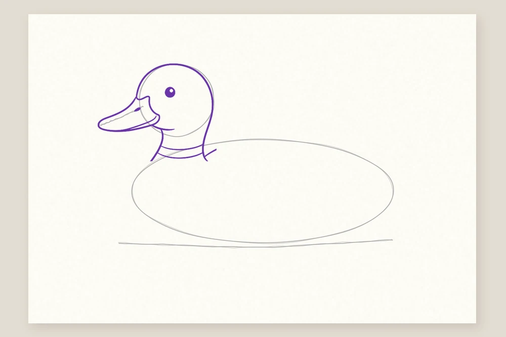 Dessin canard étape 2 : la tête, le bec plat, l'œil et le collier du colvert