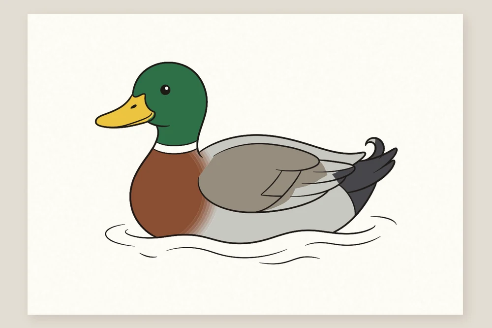 Dessin canard en couleur terminé : un colvert à tête verte, bec jaune et collier blanc sur l'eau