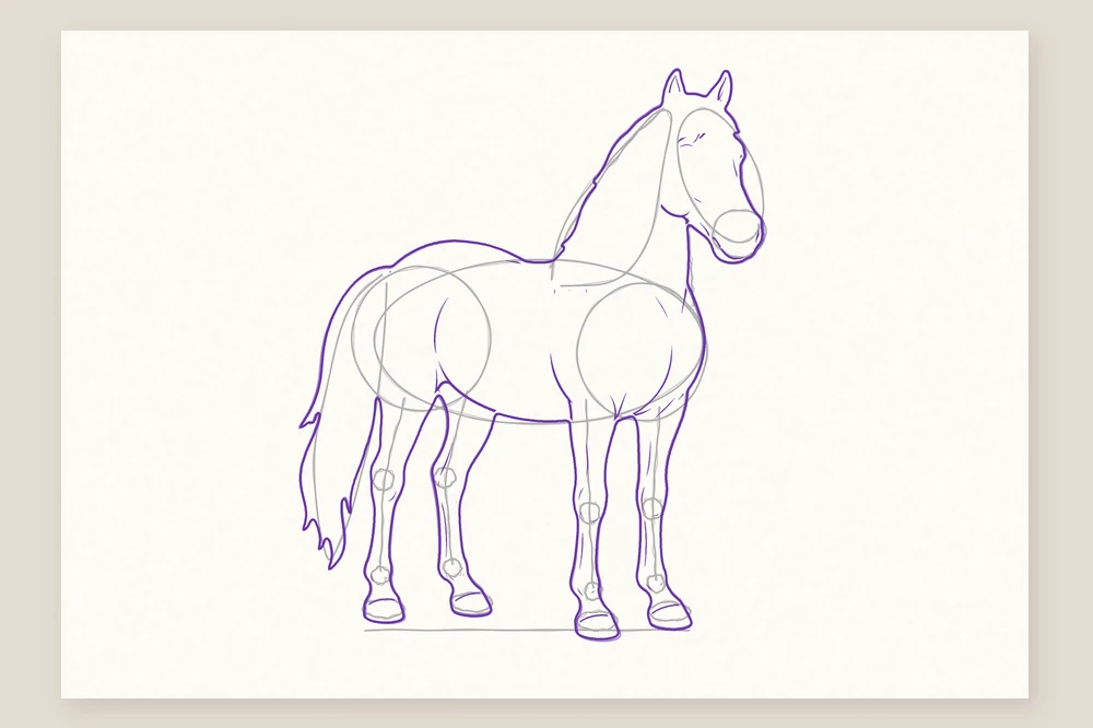 Dessin de cheval étape 5 : le contour tracé par-dessus les formes de construction