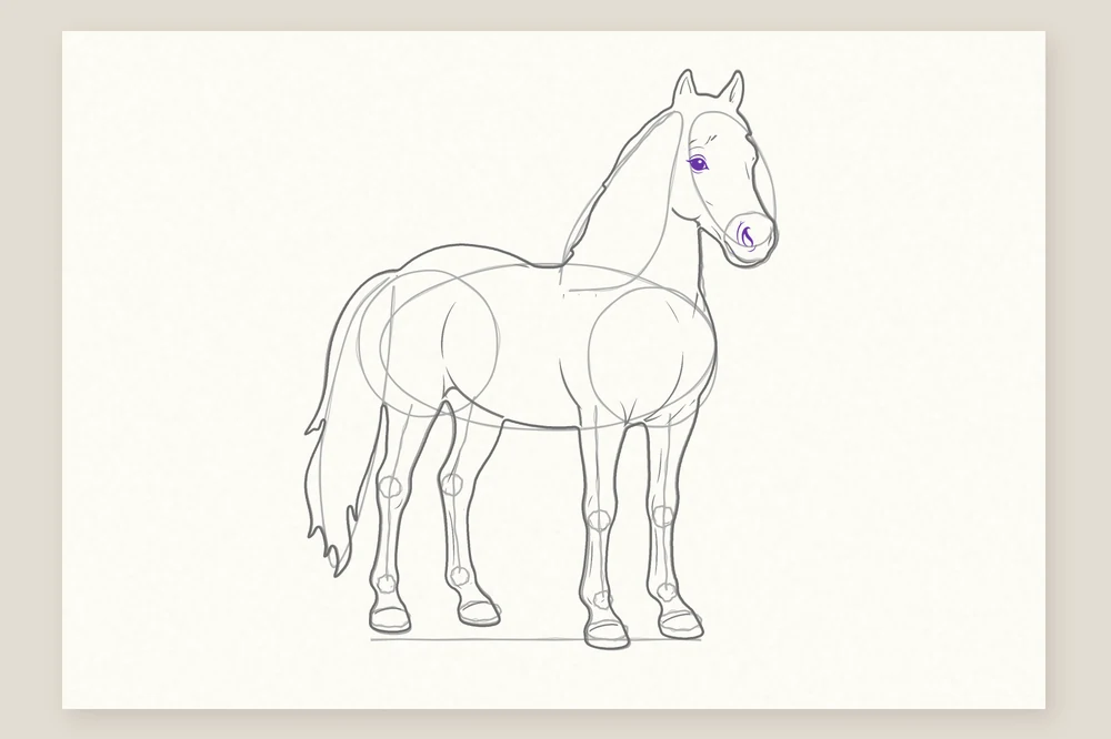 Dessin de cheval étape 6 : l'œil en haut de la tête et le naseau au bout du nez