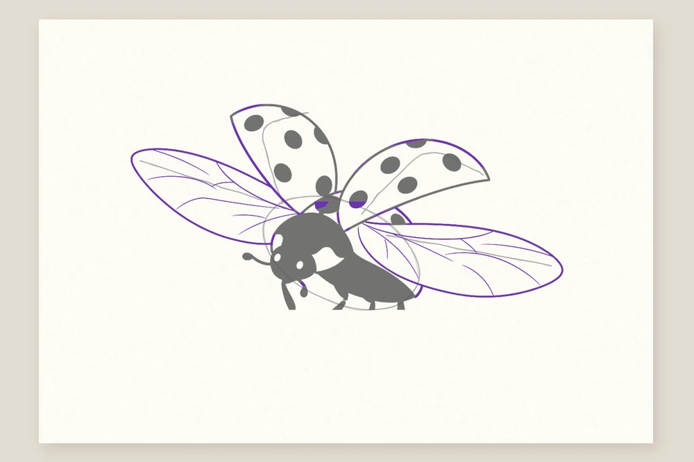 Coccinelle qui s'envole, étape 4 : les deux grandes ailes fines dépliées