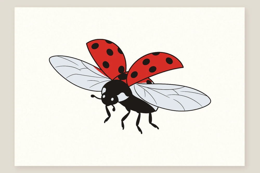 Dessin de coccinelle en vol colorié : élytres rouges, ailes transparentes