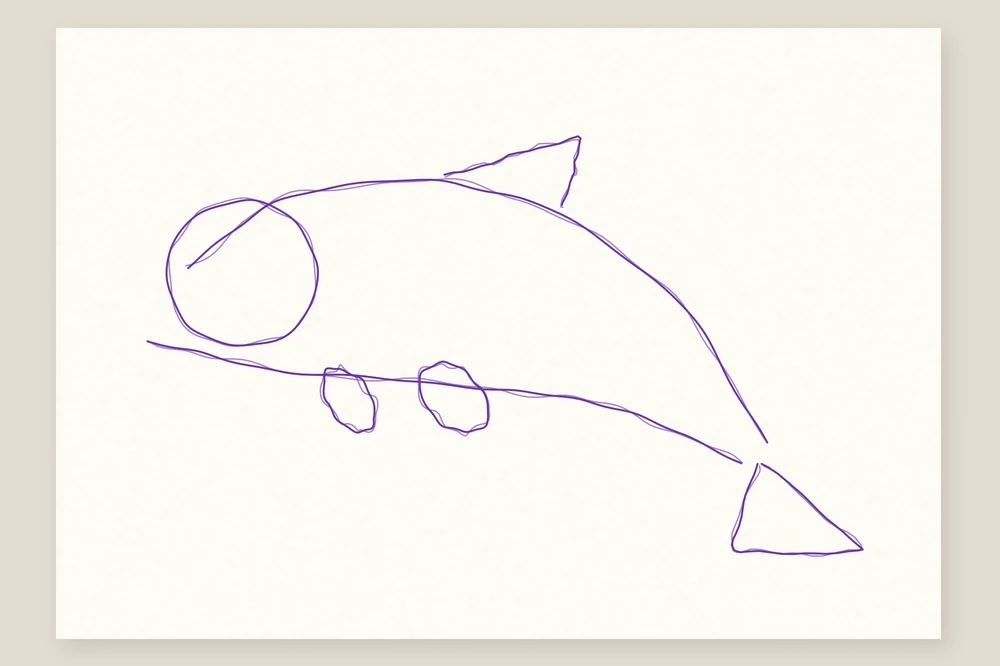 Comment dessiner un dauphin : étape 1, un rond pour la tête, deux longues courbes pour le corps, un triangle de nageoire et un pour la queue