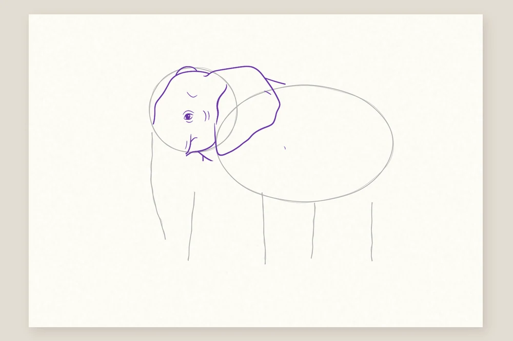 Dessin éléphant étape 2 : le contour de la tête, la grande oreille et l'œil