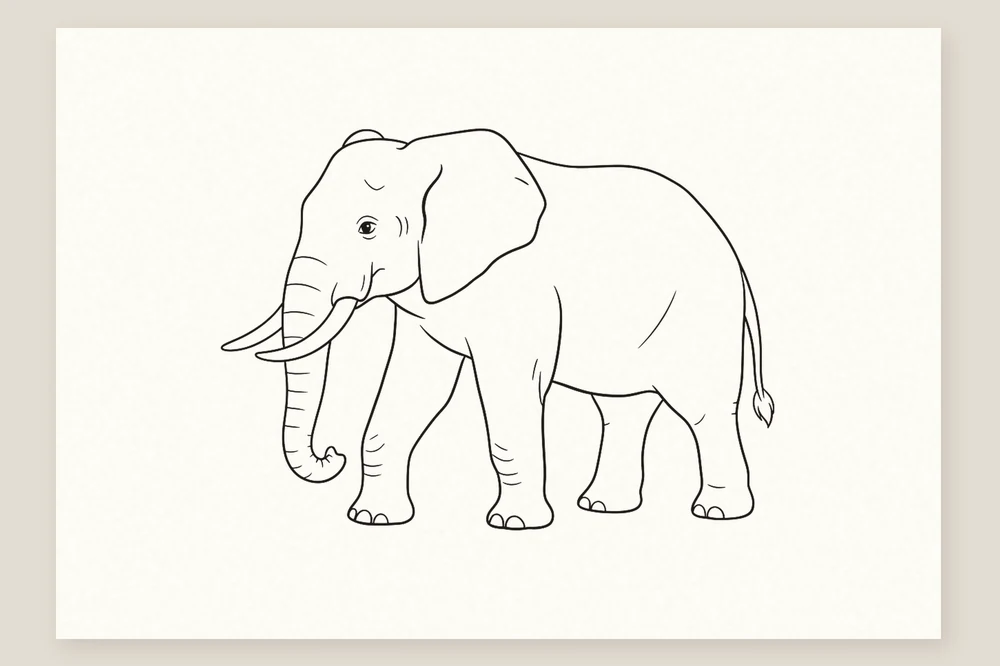 Dessin éléphant facile : contour repassé au feutre, repères gommés