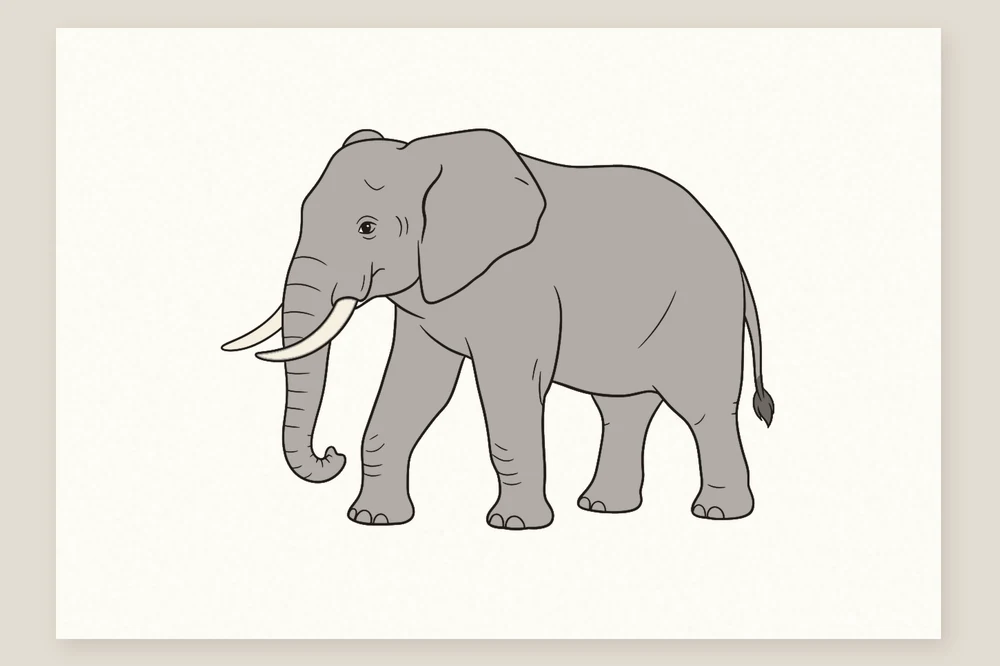 Dessin éléphant en couleur terminé : un éléphant d'Afrique gris aux défenses ivoire