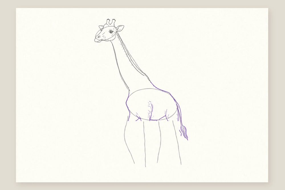 Dessin girafe étape 4 : le poitrail, le dos en pente et la queue à touffe