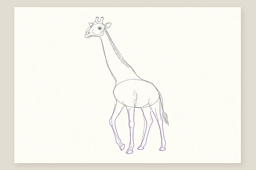 Dessin girafe étape 5 : les quatre longues pattes et les sabots fendus