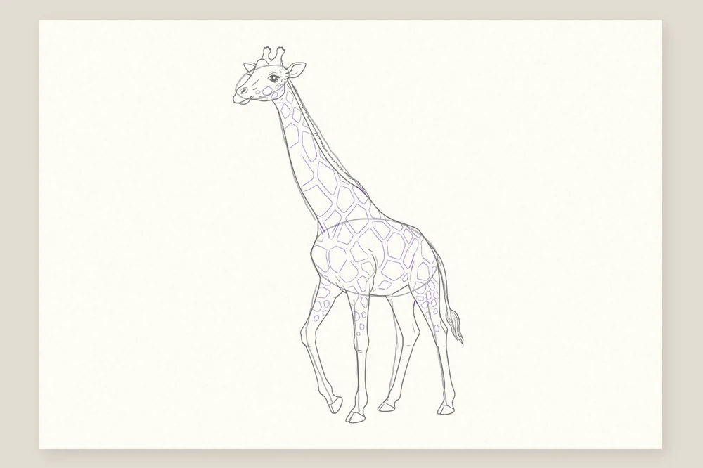 Dessin girafe étape 6 : les taches en polygones, grandes sur le corps et petites sur les pattes