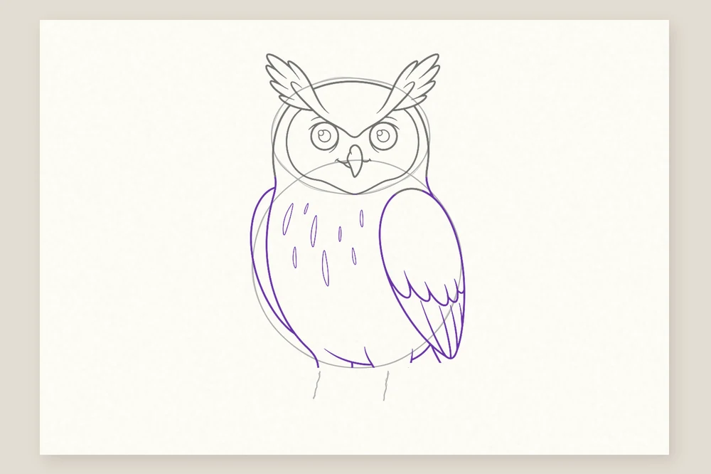 Dessin hibou étape 4 : le corps, l'aile et les stries de la poitrine