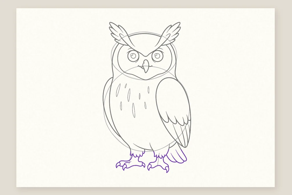 Dessin hibou étape 5 : les pattes emplumées, les griffes et la queue