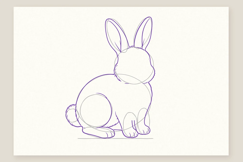 Dessin de lapin étape 4 : le contour tracé par-dessus les formes de construction