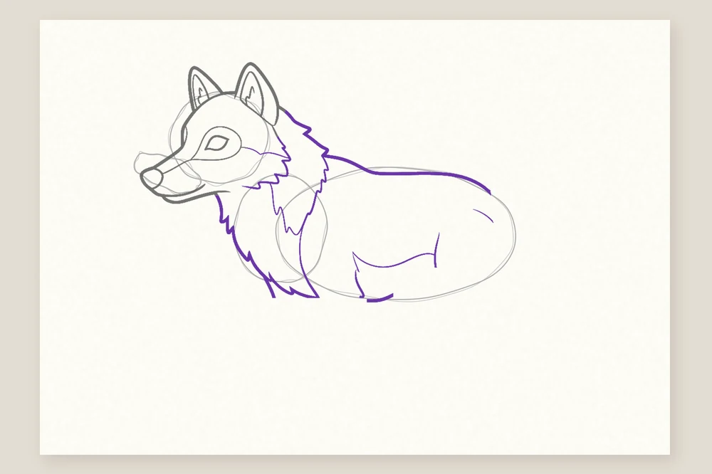Dessin loup étape 3 : la collerette en quelques pointes, la ligne du dos et le ventre