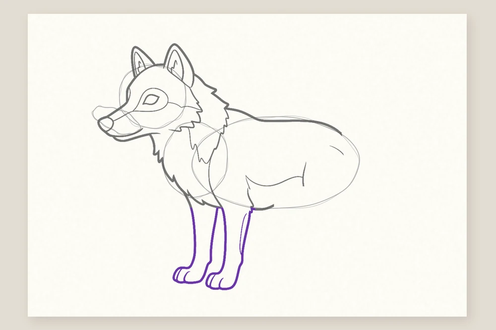 Dessin loup étape 4 : deux pattes avant longues et séparées, terminées par de grands pieds