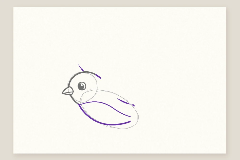 Dessin oiseau qui vole étape 3 : le corps et la ligne du ventre