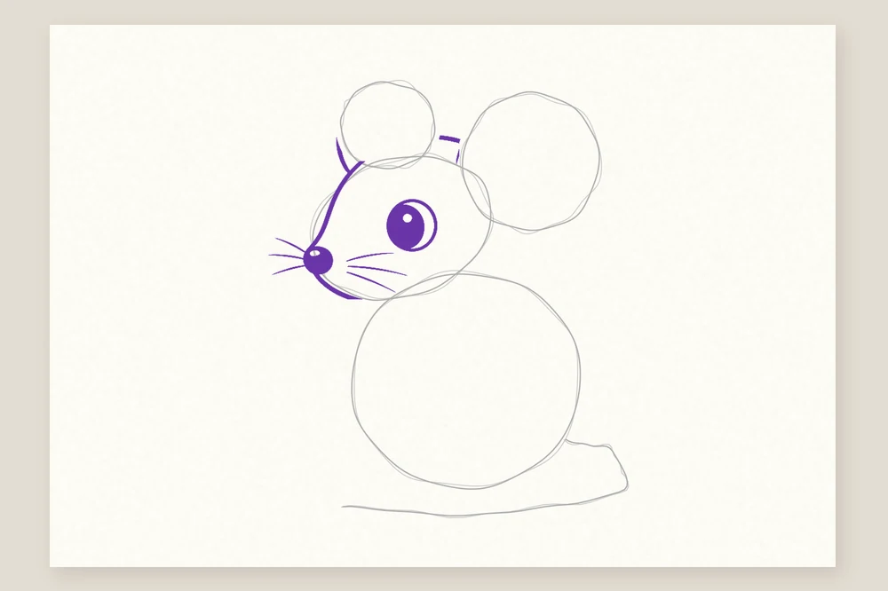 Dessin souris étape 2 : la tête au museau pointu, la truffe, l'œil et les moustaches