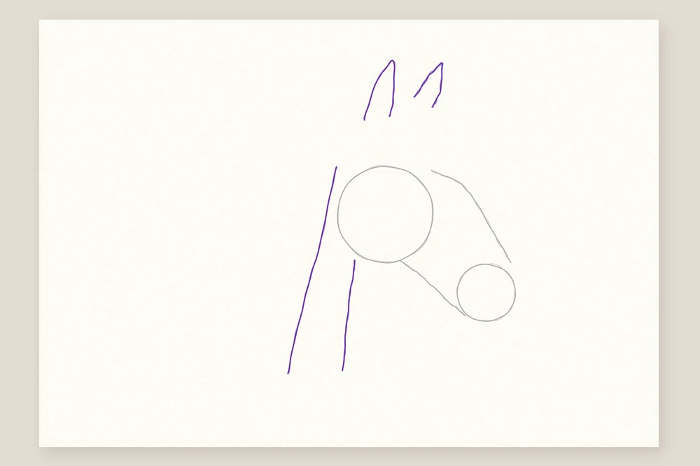 Dessin tête de cheval étape 3 : deux oreilles pointues et deux traits pour l'encolure