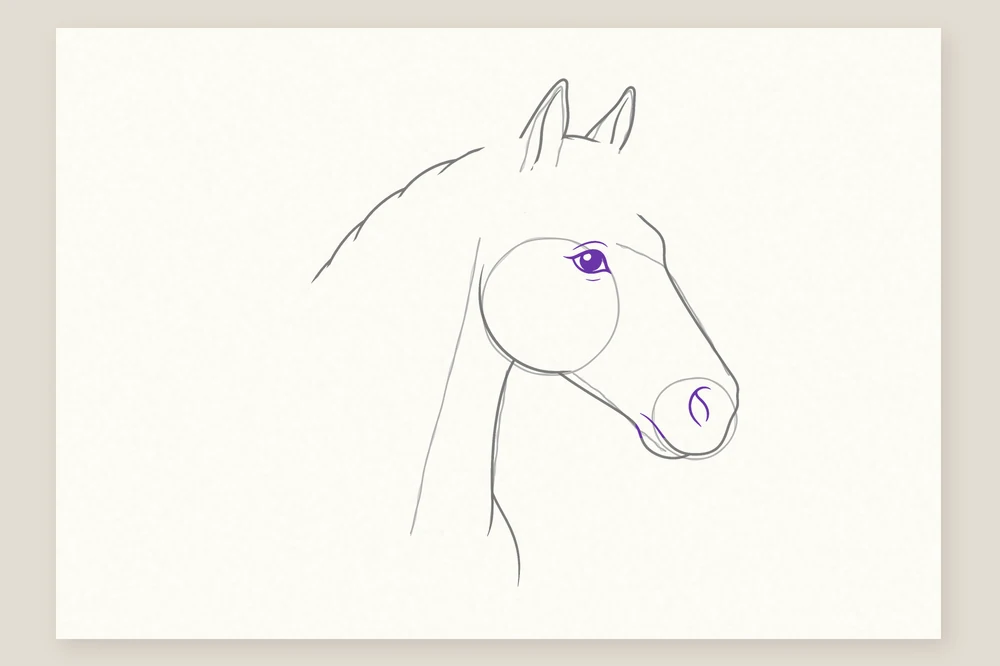 Dessin tête de cheval étape 5 : l'œil, le naseau et la bouche
