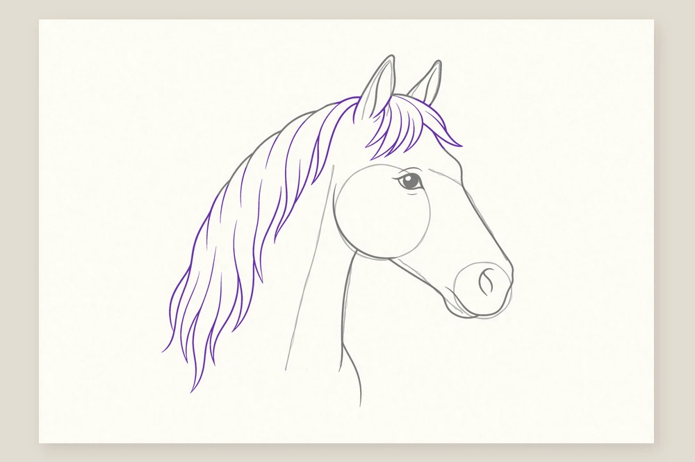 Dessin tête de cheval étape 6 : la crinière et le toupet en longues mèches