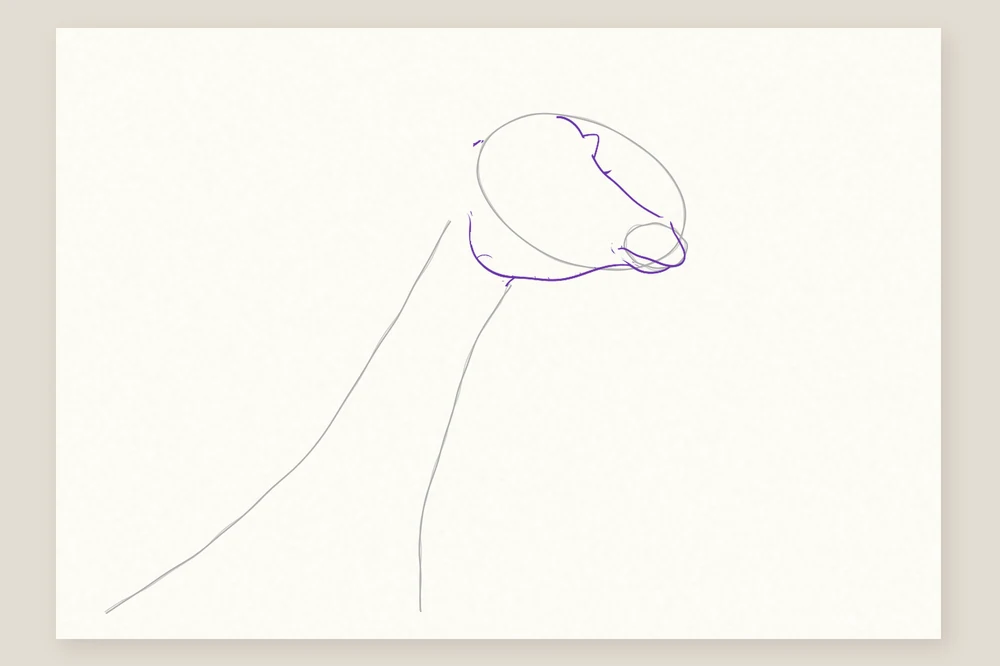 Dessin tête de girafe étape 2 : le contour de la tête, du museau et de la mâchoire