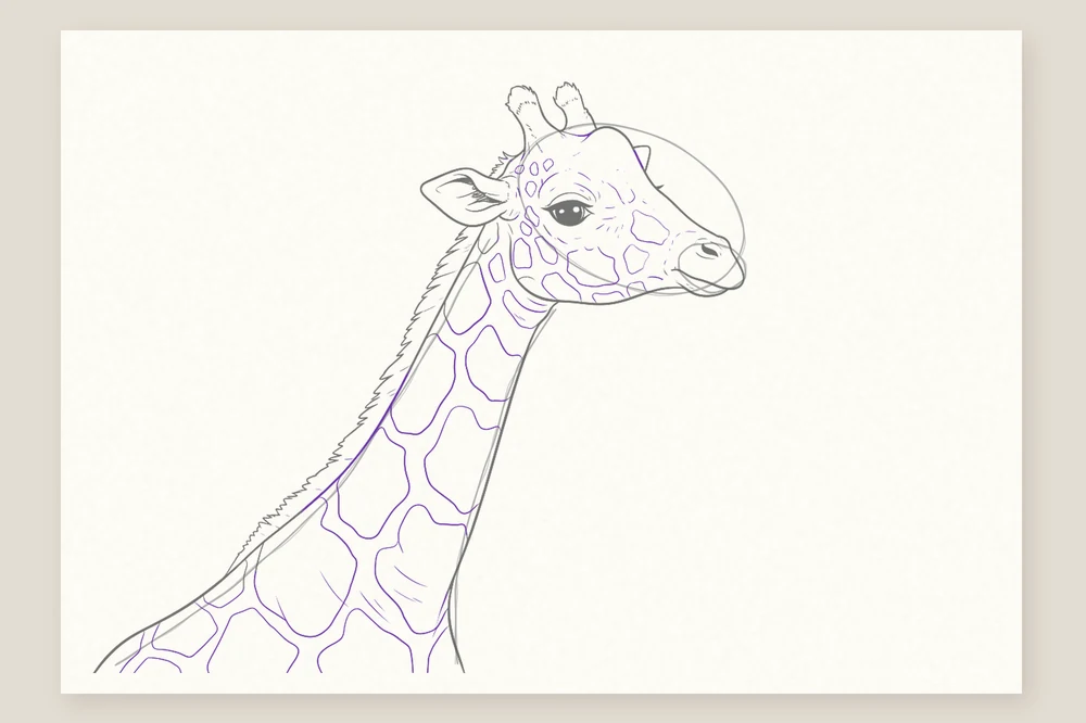 Dessin tête de girafe étape 6 : les taches, petites sur la tête et grandes sur le cou