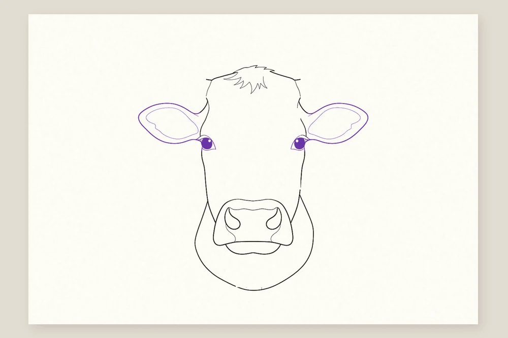 Dessin tête de vache étape 3 : les yeux sur les côtés et les oreilles à l'horizontale