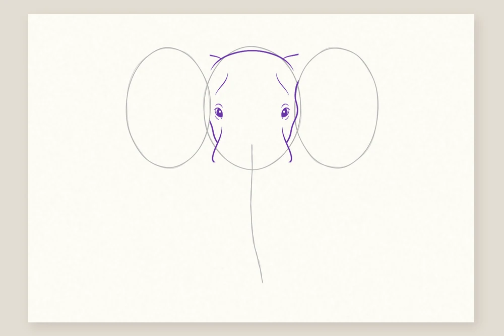 Tête d'éléphant de face, étape 2 : le contour de la tête et les yeux