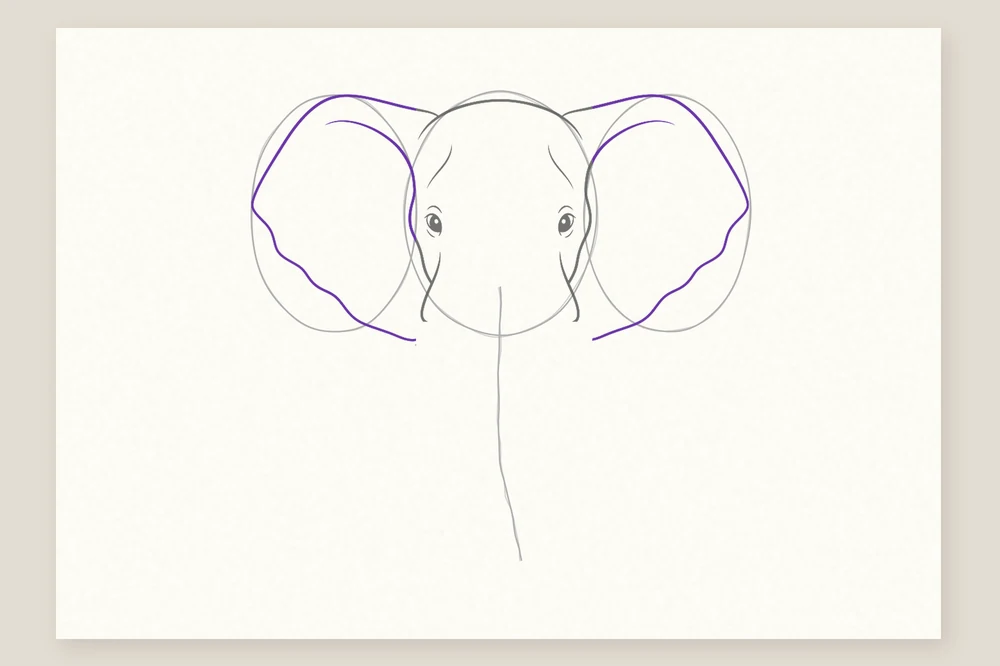 Tête d'éléphant de face, étape 3 : les deux grandes oreilles en éventail