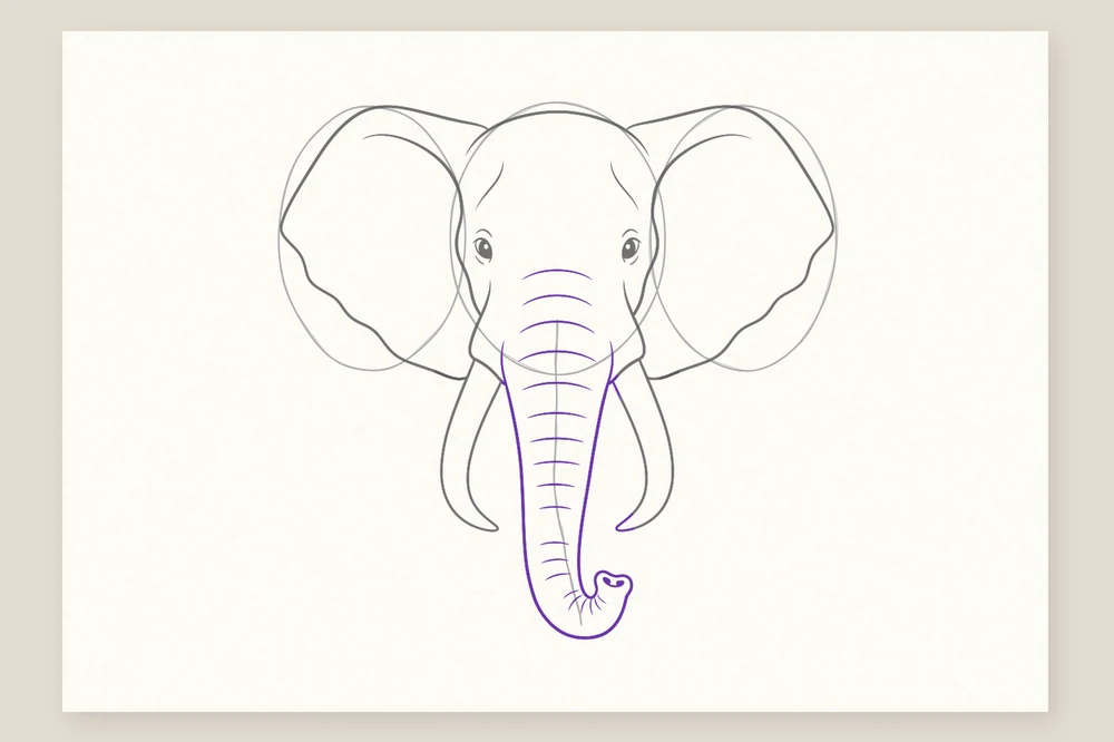 Tête d'éléphant de face, étape 5 : la trompe et ses plis