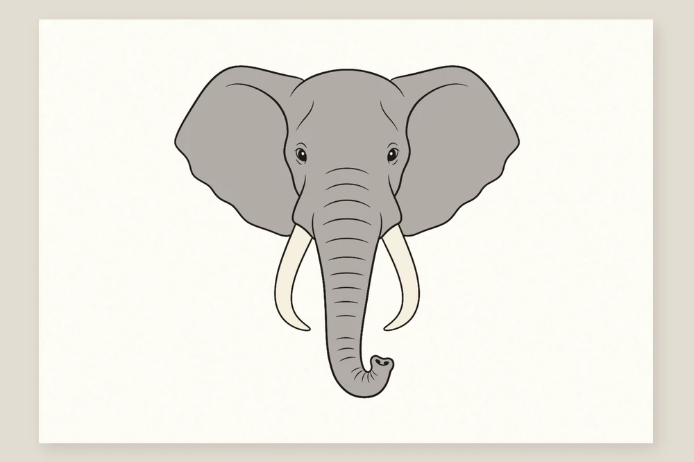 Dessin de tête d'éléphant de face colorié en gris, défenses ivoire