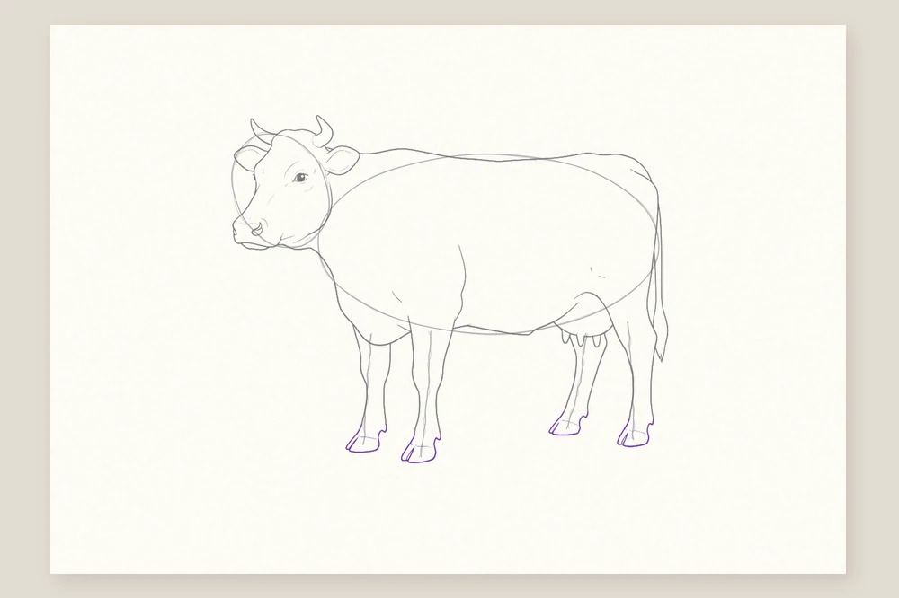 Dessin vache étape 5 : quatre sabots fendus en deux au bout des pattes
