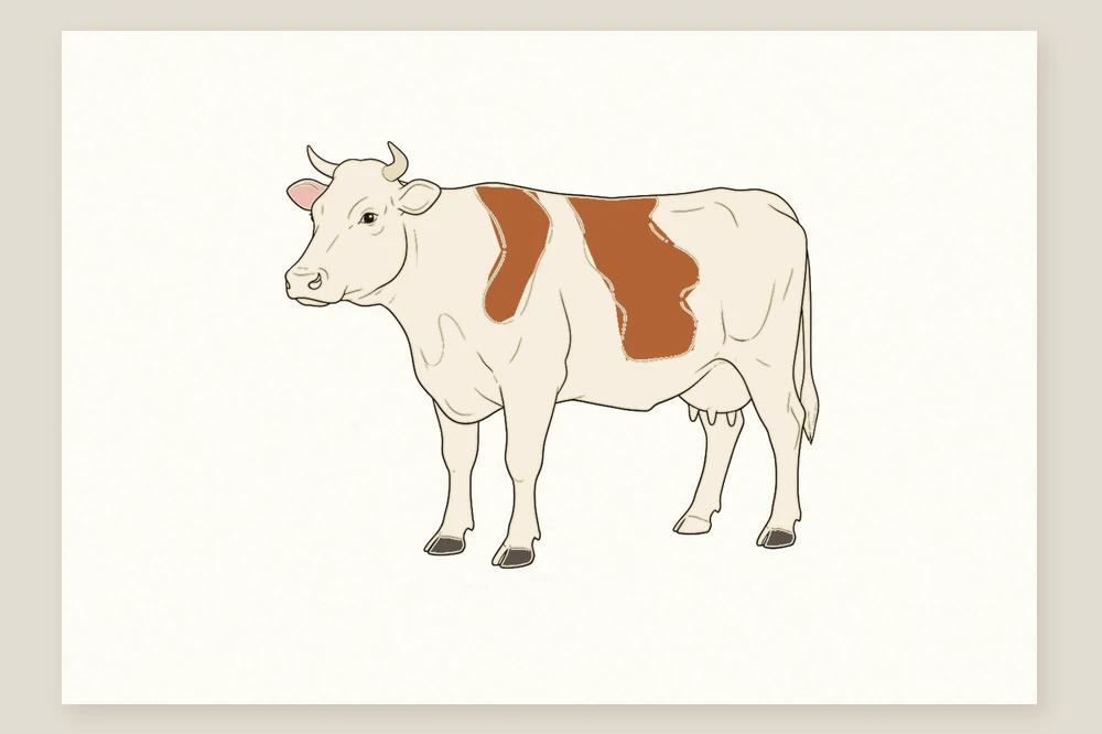 Dessin vache en couleur terminé : robe crème, taches brun-roux, cornes ivoire et sabots gris